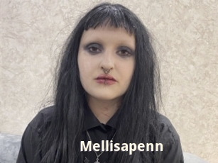 Mellisapenn