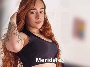 Meridafox