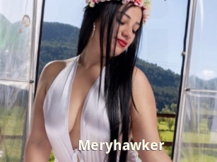 Meryhawker