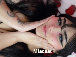 Miacaat
