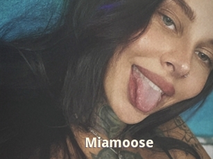 Miamoose