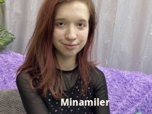 Minamiler