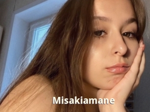 Misakiamane