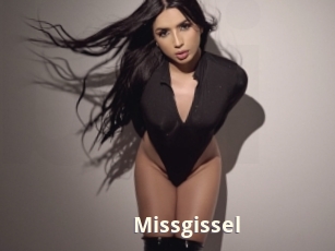 Missgissel