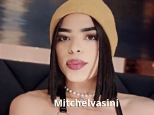 Mitchelvasini