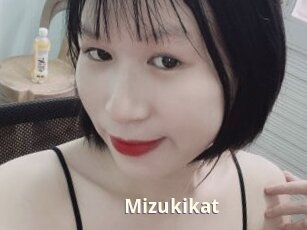Mizukikat