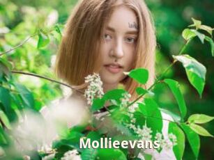 Mollieevans