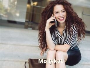 Mollykat