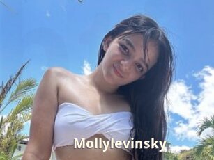 Mollylevinsky