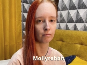 Mollyrabbit
