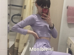 Monibleisi