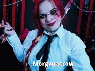 Morganacrow