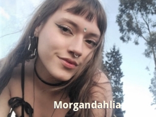 Morgandahlia
