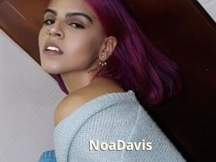 NoaDavis