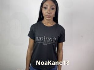 NoaKane18