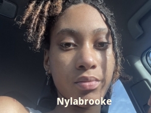 nylabrooke Bigtitinvasion