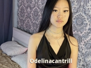Odelinacantrill
