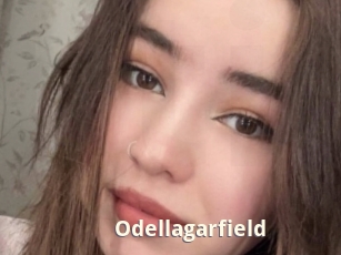 Odellagarfield
