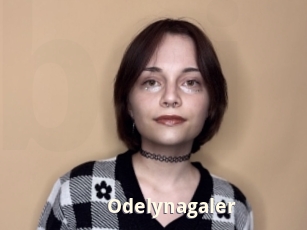 Odelynagaler