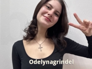 Odelynagrindel