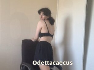 Odettacaecus