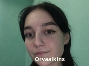 Orvaalkins