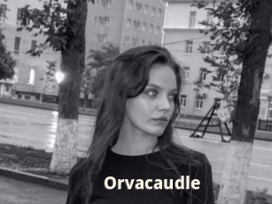 Orvacaudle
