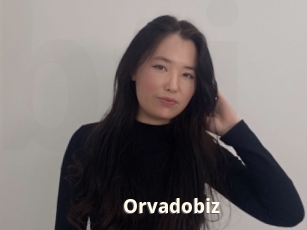 Orvadobiz