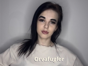 Orvafugler