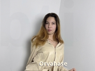Orvahase