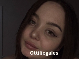 Ottiliegales