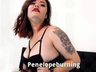 Penelopeburning