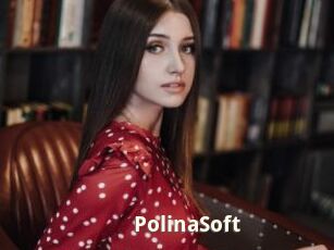 PolinaSoft