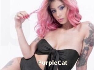 PurpleCat