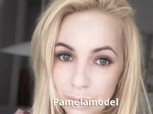 Pamelamodel