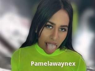 Pamelawaynex