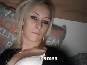 Pamss
