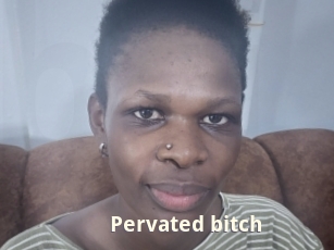 pervated_bitch Bigtitinvasion