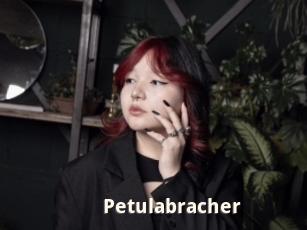 Petulabracher