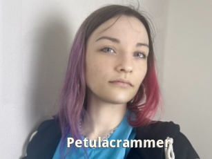 Petulacrammer