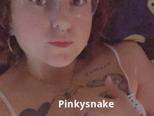 Pinkysnake