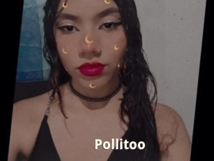 Pollitoo