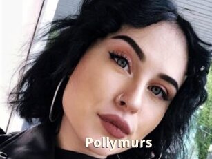 Pollymurs