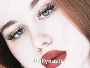 Pollynaster