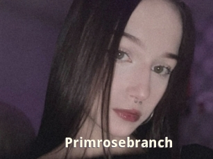 Primrosebranch
