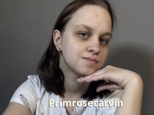 Primrosecarvin