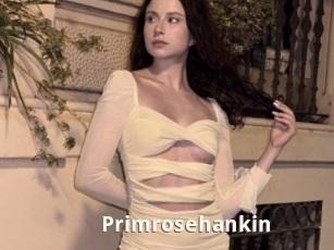 Primrosehankin