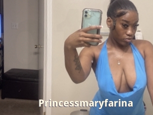Princessmaryfarina