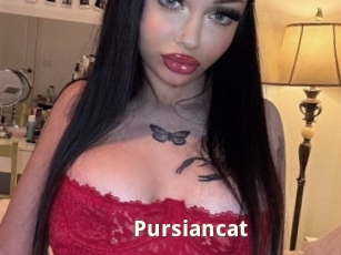 Pursiancat