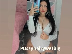 Pussyhairywetbig
